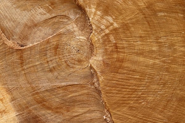 Profitez de l'été en toute sécurité avec les lunettes de soleil en bois