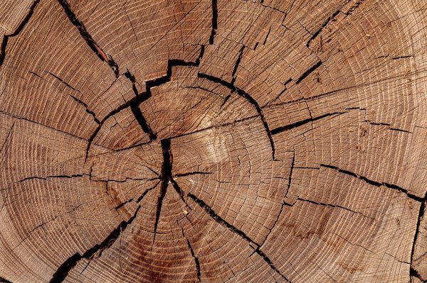 Vous aimez le haut de gamme ? Vous aimerez les lunettes de soleil en bois